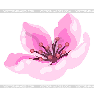 Spring flower bud. Apple, sakura or cherry blossom - vector clipart