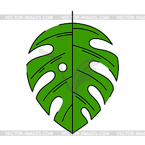 Monstera palm leaf. Decorative tropical foliage - vector clipart