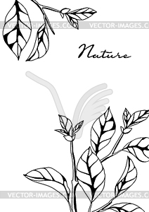 Background with branches and leaves. Spring or - vector clipart / vector image