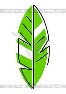 Stylized banana palm leaf. Decorative tropical - vector image