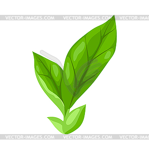Leaves. Spring or summer stylized foliage - vector clipart