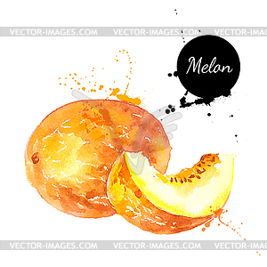 Watercolor painting. illus - vector image