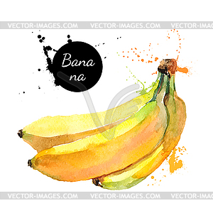 Watercolor painting. illus - vector EPS clipart