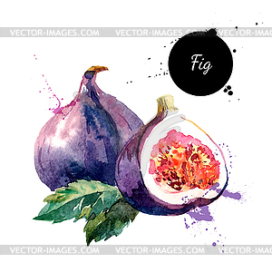 Watercolor painting. illus - vector clipart