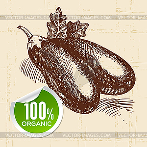 Sketch vegetable eggplant. Eco food background - vector clipart