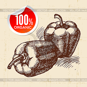 Sketch vegetable peppers. Eco food background - vector image