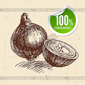 Sketch vegetable onion. Eco food background. il - vector image