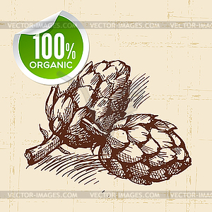 Sketch vegetable artichoke. Eco food - vector image