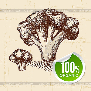 Sketch vegetable broccoli. Eco food background - vector image