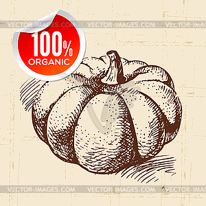 Sketch vegetable pumpkin. Eco food background - vector clipart