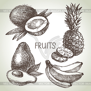 Sketch fruit set. Eco foods - royalty-free vector clipart