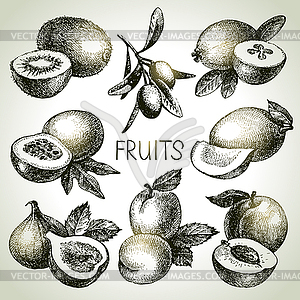 Sketch fruit set. Eco foods - vector clip art