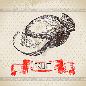 Sketch fruit mango. Eco food background. illus - vector clipart