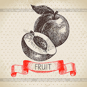 Sketch fruit peach. Eco food background. illus - vector image