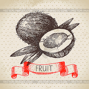 Sketch fruit coconut. Eco food background. ill - vector clip art