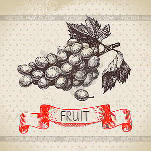 Sketch fruit grape. Eco food background. illus - vector image