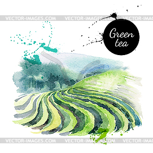 Watercolor painted tea . Menu desi - vector clipart