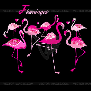 Group of flamingos - vector clip art