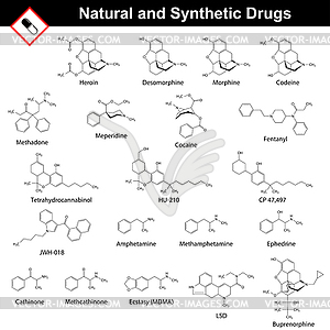 Основные природные и синтетические наркотики - изображение векторного клипарта