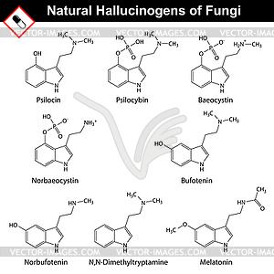 Natural tryptamine hallucinogens - vector image