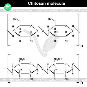 Chitosan molecule structure - vector image