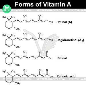Формы витамина А - векторное изображение