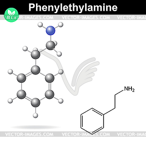 Phenylethylamine molecule - vector image