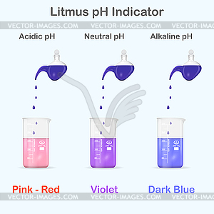 Mesuring of pH with litmus indicator - vector clip art