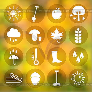 Autumn icons set - vector clipart