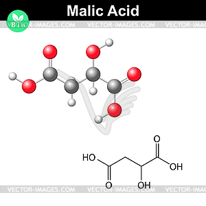 Malic acid molecule - vector clip art