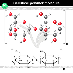 Cellulose polymer molecule - vector clipart