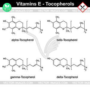 Tocopherols - vitamin E forms - vector clipart