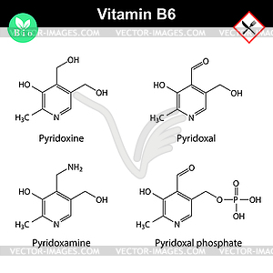 Chemical formulas of vitamin b6 forms - vector image