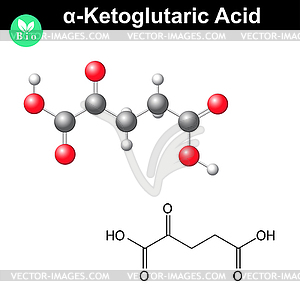 Alpha-Ketoglutaric acid molecule - vector clipart
