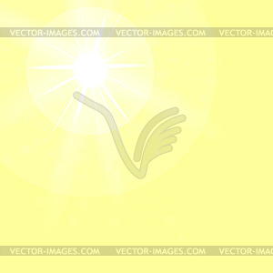 Summer Sun - vector image