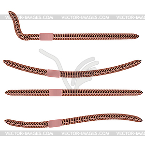 Animal Earth Red Worms for Fishing - vector image