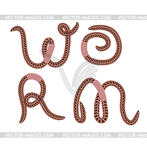 Animal Earth Red Worms - vector EPS clipart