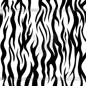 Zebra Pattern. Black and White Animal Background - vector image