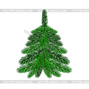 Single Green Fir - vector clip art