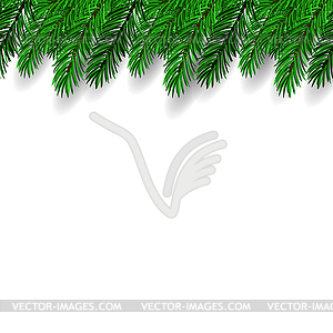 Fir Branch. Symbol of New Year - vector image