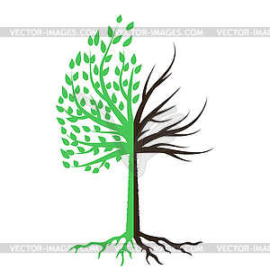 Tree Silhouette Icon - color vector clipart
