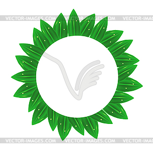 Circle Green Leaves Frame - vector image