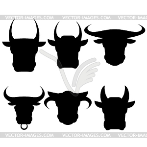 Set of Bull Heads Silhouettes - vector image