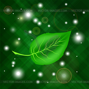 Spring Green Leaf - vector image