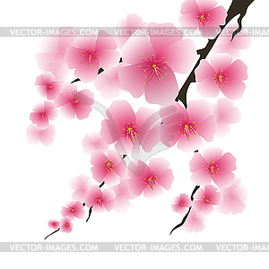 Весна розовые цветы - изображение в векторе / векторный клипарт