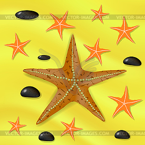 Plenty of Cushion Starfish on Sandy Ocean Floor - vector image