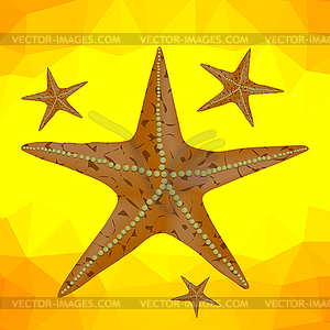 Starfish on Yellow Polygonal Background - vector image