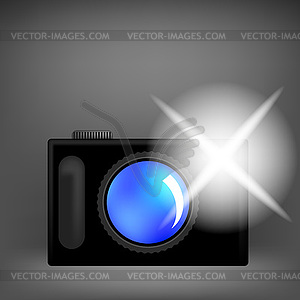 Digital Camera and Flash - vector clipart