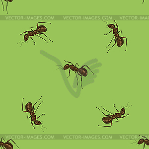 Seamless Animal Pattern. Ant - vector image