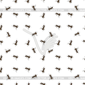 Ant  - vector clip art